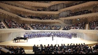 Die Regensburger Domspatzen singen in der Elbphilharmonie  Mittelbayerische Zeitung 23102018 [upl. by Mcguire]