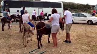 Donkeys ridding Cyprus 24052013 [upl. by Ednyl]