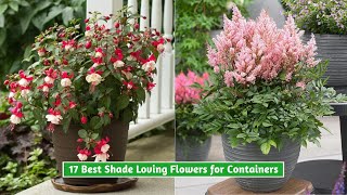 17 Best Shade Loving Flowers for Containers [upl. by Shrier]