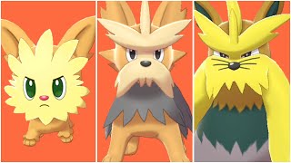 FULL LILLIPUP EVOLUTION TEAM Shiny Lillipup Shiny Herdier Shiny Stoutland Moveset [upl. by Silra]