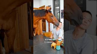 The Heart of a Horse A Tale of Trust🤯 shortvideo [upl. by Aelyak]