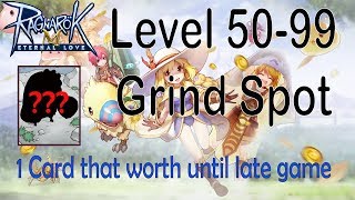 Level 5099 Grind Spot with 1 Card amp 1 Converter Ragnarok Mobile  Eternal Love [upl. by Lorrin]