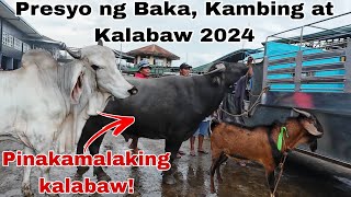 June 28 2024 Presyo ng Baka Kambing at Kalabaw  Dji Osmo Action 4  Livestock Farming [upl. by Aip]