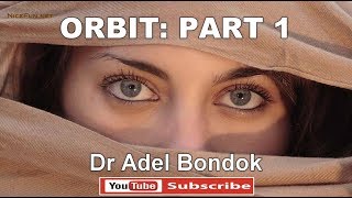 ِAnatomy of the Orbit Part 1 Bony Orbit and Ocular Muscles Dr Adel Bondok [upl. by Rosaleen114]