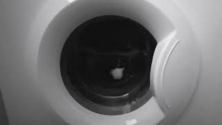 Washing machine spins at 1400 rpm in black and white [upl. by Rovit]