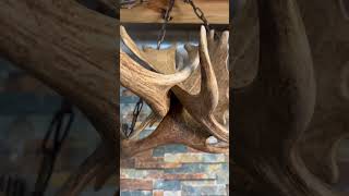 Stunning Fallow Antler Chandelier The Ultimate Touch of Rustic Elegance shorts decoration [upl. by Uliram]