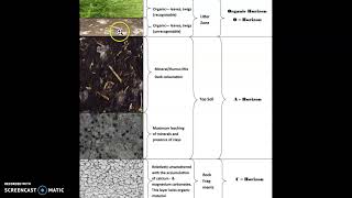 CHERNOZEM SOILS [upl. by Dorlisa]