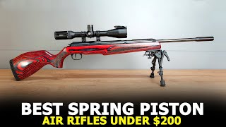 Top 10 Best Spring Piston Air Rifle for 200 amp Under [upl. by Antoni53]