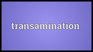 Transamination Meaning [upl. by Hoagland]