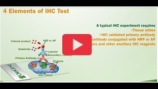 4 Elements of IHC test [upl. by Babbie]