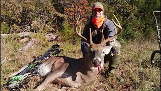 VIRGINIA PUBLIC LAND ARCHERY BUCK 2023 [upl. by Anirad635]