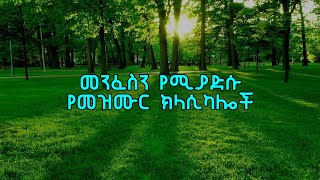 Ethiopian protestant mezmur classical  Ethiopian Instrumentals [upl. by Aemat]