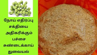 Sundakkai thuvaiyal  Thuvaiyal recipe in tamil  Chutney recipe [upl. by Patrizia]