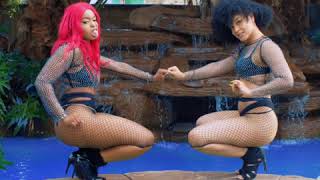 WAP  Cardi B feat Megan thee stallion  Dance visual [upl. by Arbba]