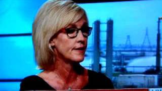 Erin Brockovich interview [upl. by Javed]