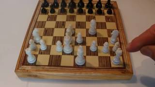 How to Move the Chess Pieces The King and the Goal [upl. by Loomis582]