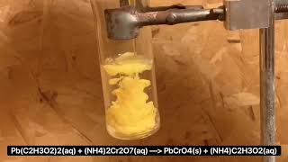 Synthesis of lead II chromate Crocoite [upl. by Darcey]