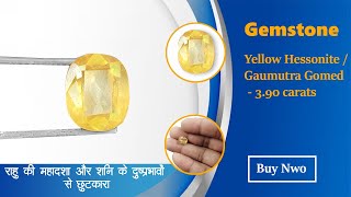 Yellow Hessonite Gaumutra Gomed Gemstone  390 carats ompoojashop Om Pooja Shop [upl. by Buschi418]