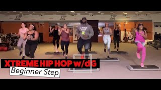 Beginner Step Aerobics Home Workout  Xtreme Hip Hop Step [upl. by Horner]