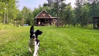 Simple Minnesota Homesteading Permits Building The Kitchen In The Addition [upl. by Koziarz104]