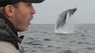 JE PÊCHE UN MASTODONTE DES MERS   Cyril Chauquet [upl. by Ijat]