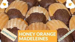 Honey Orange Madeleines Made From Scratch [upl. by Nerreg]