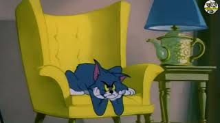 Tom and Jerry  Tom and jerry hindi cartoon  Tom and Jerry cartoon  hindi cartoon [upl. by Murielle279]