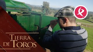 Herrrando los condesos 3  Tierra de Toros [upl. by Nythsa]