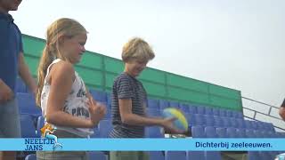 Dichterbij Zeeleeuwen zomerseizoen Deltapark Neeltje Jans [upl. by Eisso]