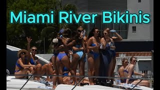 Blue Bikinis Catamarans and Tugs cruise the Miami River  Chit Flix [upl. by Engelhart]