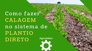 Como fazer a CALAGEM no sistema de PLANTIO DIRETO [upl. by Devina]