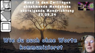 MondIMPULS für heute  wie du ohne Worte kommunizieren kannst [upl. by Emerald]