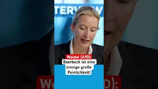 Baerbock ist eine einzige große Peinlichkeit afd baerbock scholz habeck [upl. by Evers864]