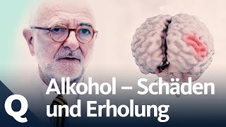 Wie gut kann sich der Körper vom Alkohol erholen  Quarks [upl. by Schechter]