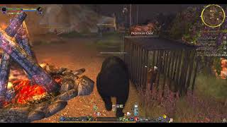 Lotro legendary server 64bit Beorning Pt 2 [upl. by Hastings]