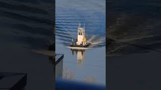 Tugboat Cruising the Harlem River 🛥 Shorts Tugboat HarlemRiver EIGHTYSGUY [upl. by Aynnek]