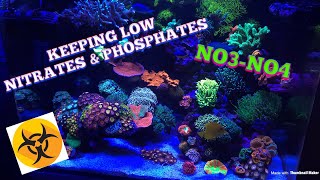 KEEPING LOW NITRATES amp PHOSPHATES [upl. by Zosema]