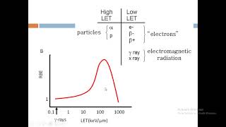 Fundamental Principles [upl. by Errecart]