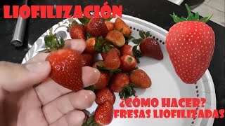 Demostración práctica sobre liofilización [upl. by Osmo]