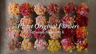 Coming Soon Floret Original Flowers [upl. by Wojak]