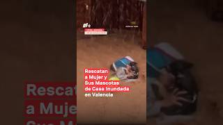 Rescatan a mujer y a sus mascotas de casa inundada en Valencia nmas valencia inundación shorts [upl. by Service]