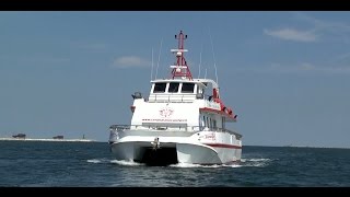 Italian Fishing TV  Catamarano comfort  Una domenica con Marco Volpi [upl. by Heaps]