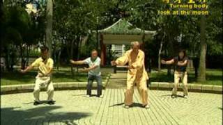 18 Chi Quong Shibashi Tai Chi Qigong 18 [upl. by Voe]