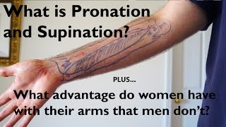 What is Pronation and Supination of the Forearm [upl. by Odnomar]