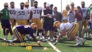 LSU Spring Practice BIG CAT DRILL  March 19 [upl. by Fuller]