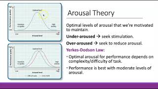 PSYC001 Arousal Theory [upl. by Rider]