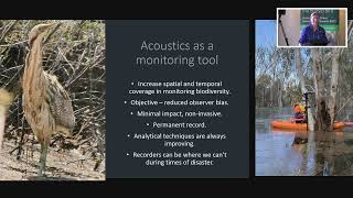 Big booming data Monitoring Australasian Bittern using acoustic monitoring in Tasmania [upl. by Keyes]