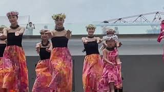 202498 E HULA MAI FESTIVAL JAPAN ららぽーと豊洲 [upl. by Orella]