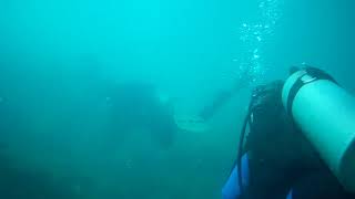 Moltke Wreck diving in Magnetic Island Australia [upl. by Inavoig]