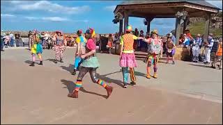 Gog Magog Molly dance Dargas Grandson at Whitby folk festival 2023 [upl. by Burtie17]